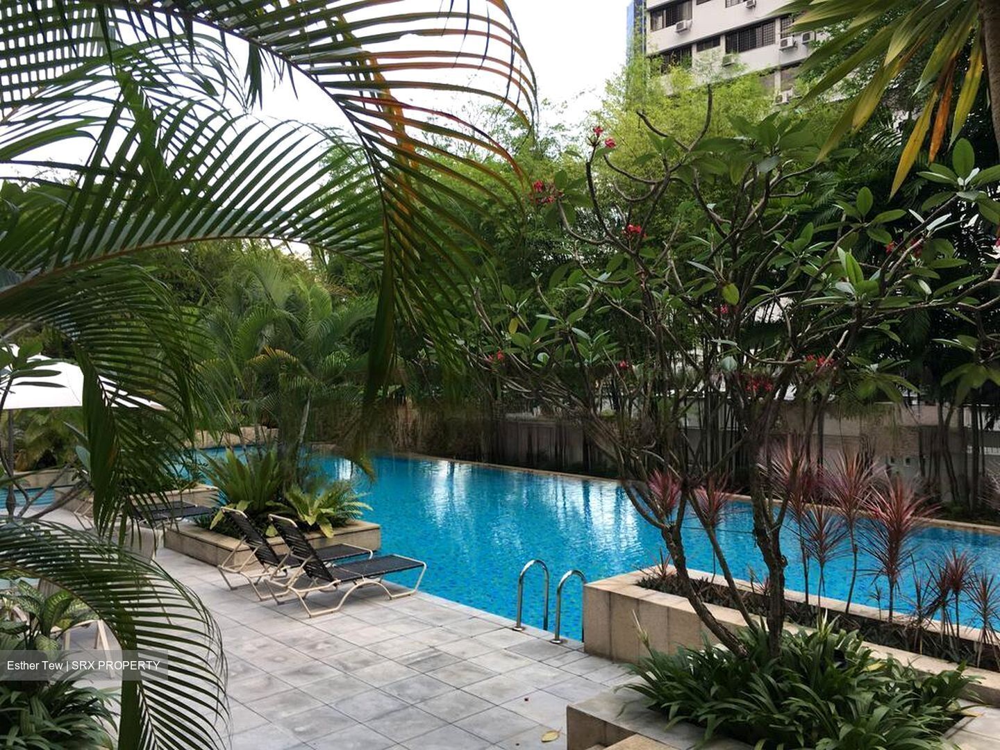Mandale Heights (D11), Apartment #483667611
